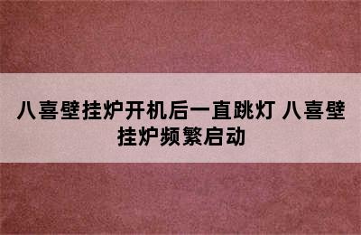 八喜壁挂炉开机后一直跳灯 八喜壁挂炉频繁启动